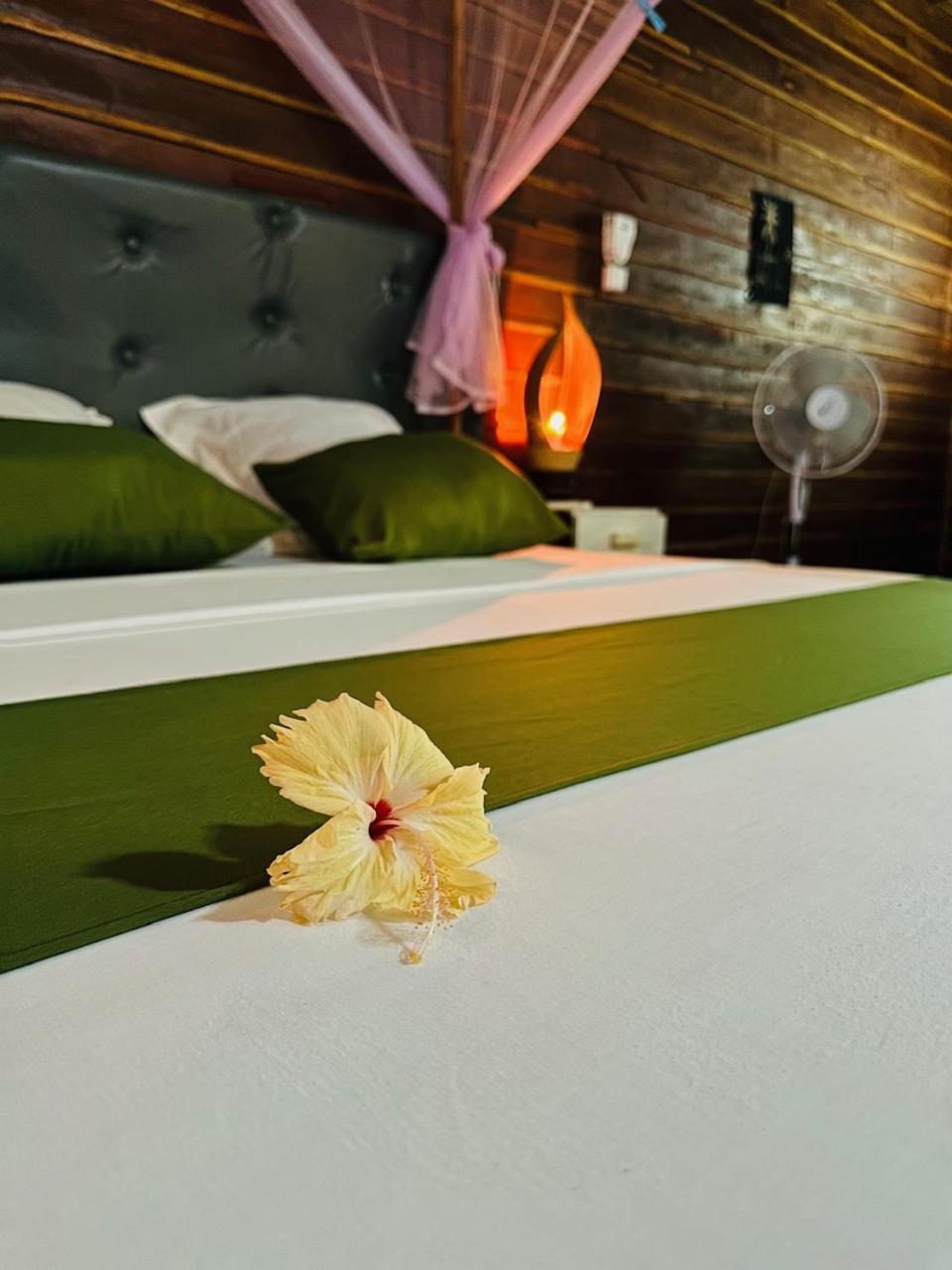 Bungalows Des Tropiques Nosy-Be Bagian luar foto